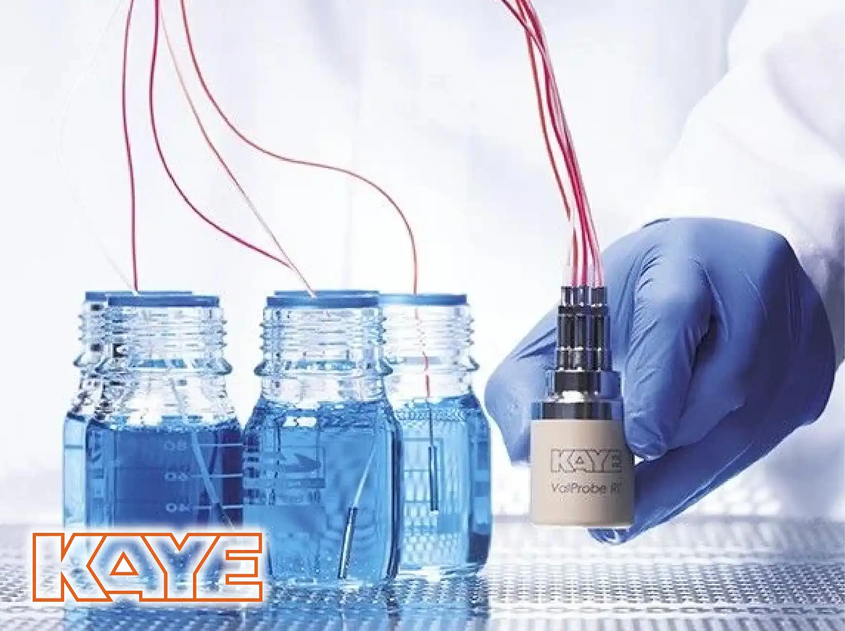 KAYE Wireless (RF) ValProbe RT System.